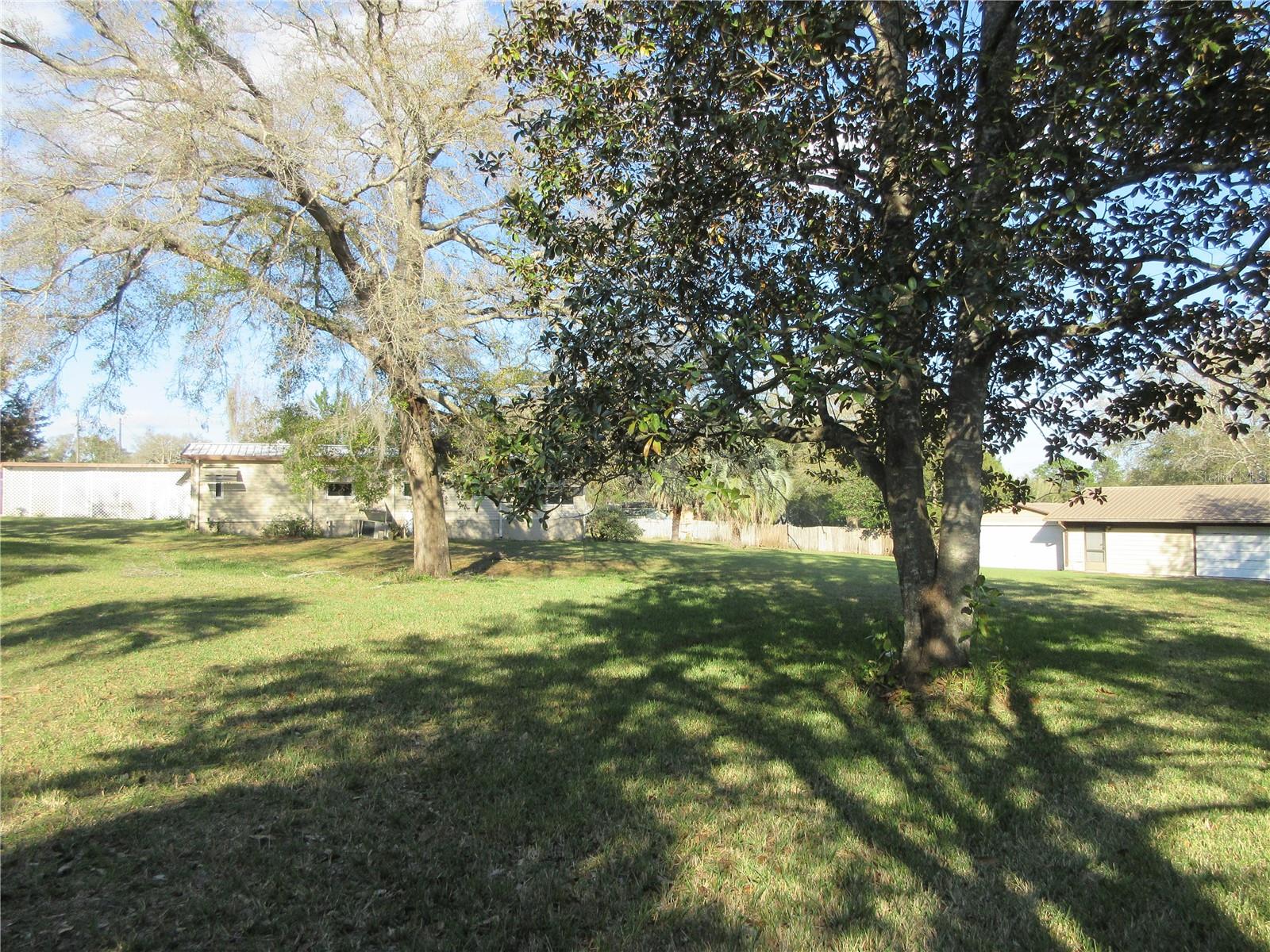 1605 SE 160TH CT, OCKLAWAHA, FL, 32179