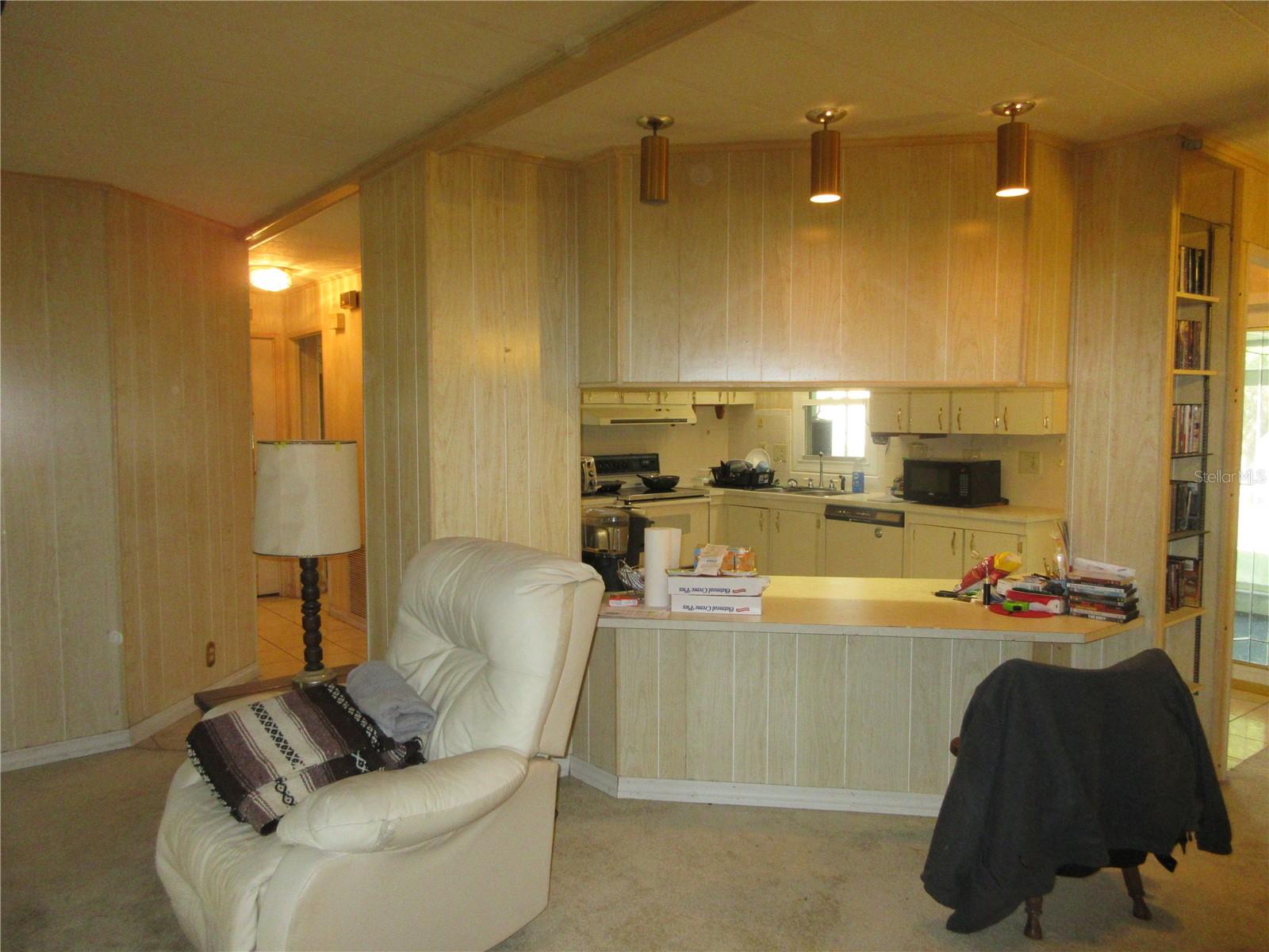 1605 SE 160TH CT, OCKLAWAHA, FL, 32179