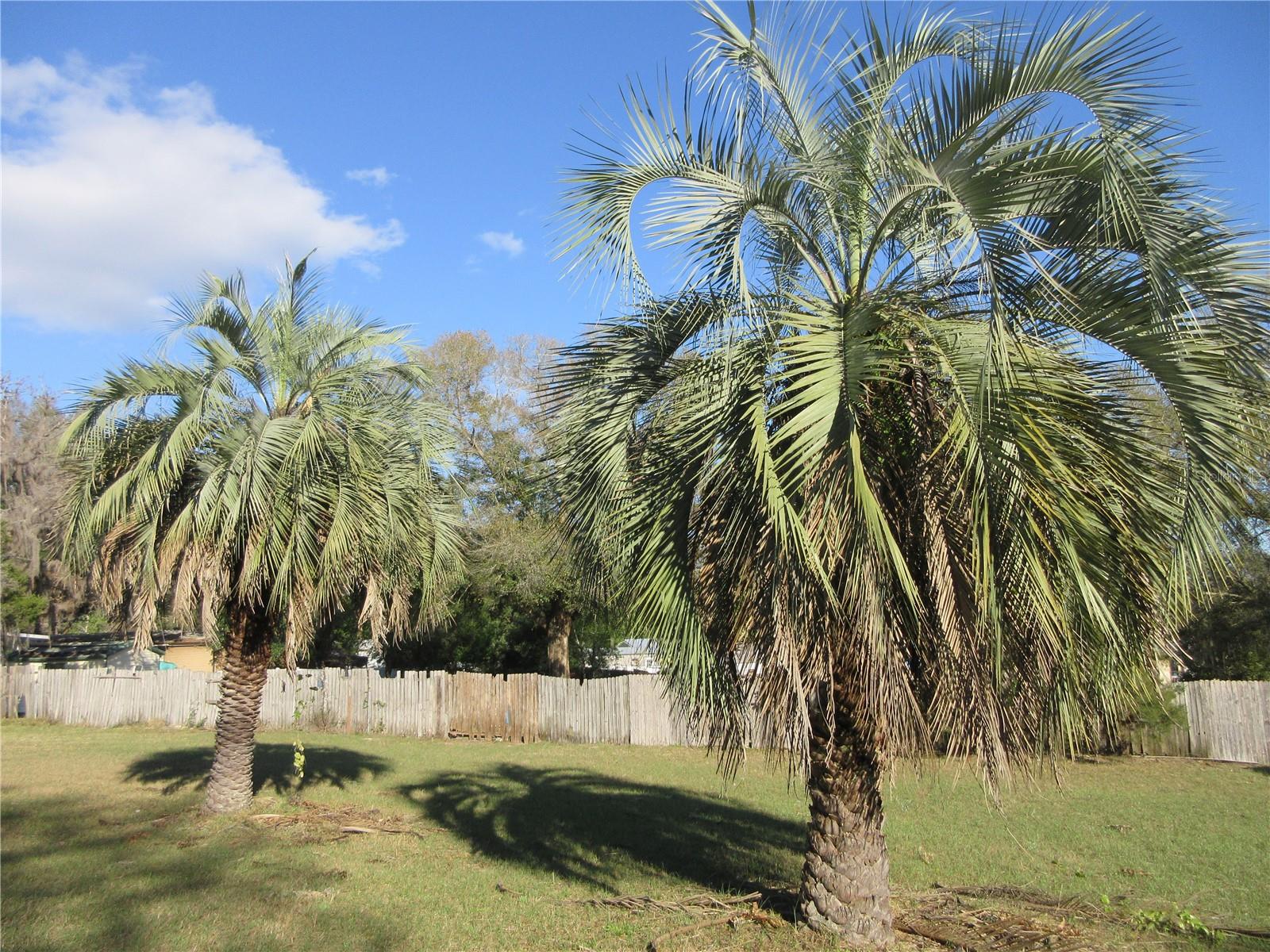 1605 SE 160TH CT, OCKLAWAHA, FL, 32179