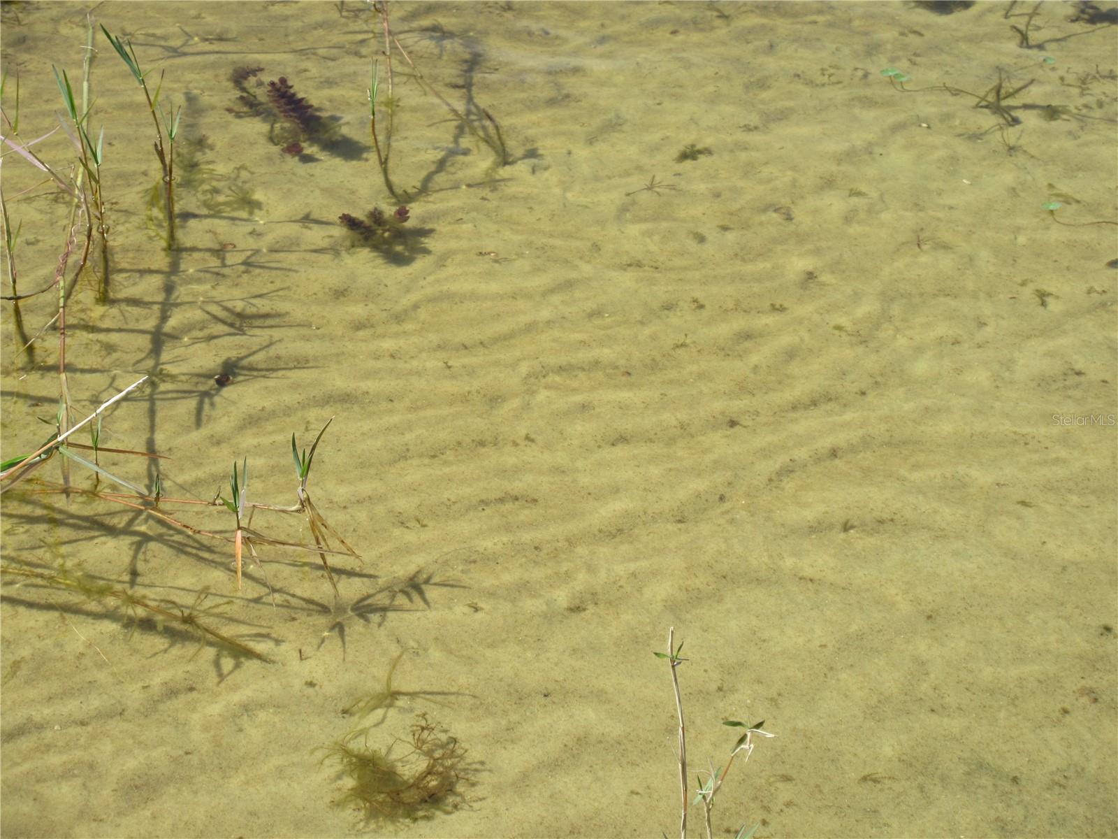 1605 SE 160TH CT, OCKLAWAHA, FL, 32179