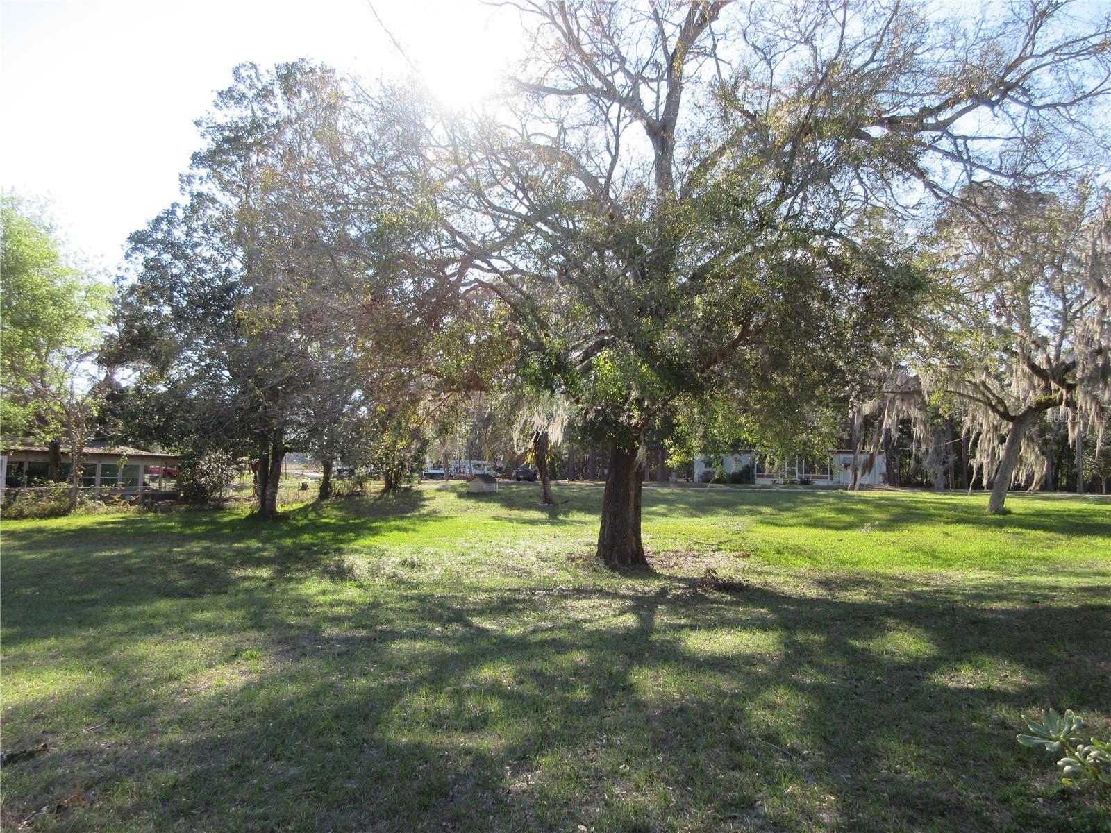 1605 SE 160TH CT, OCKLAWAHA, FL, 32179