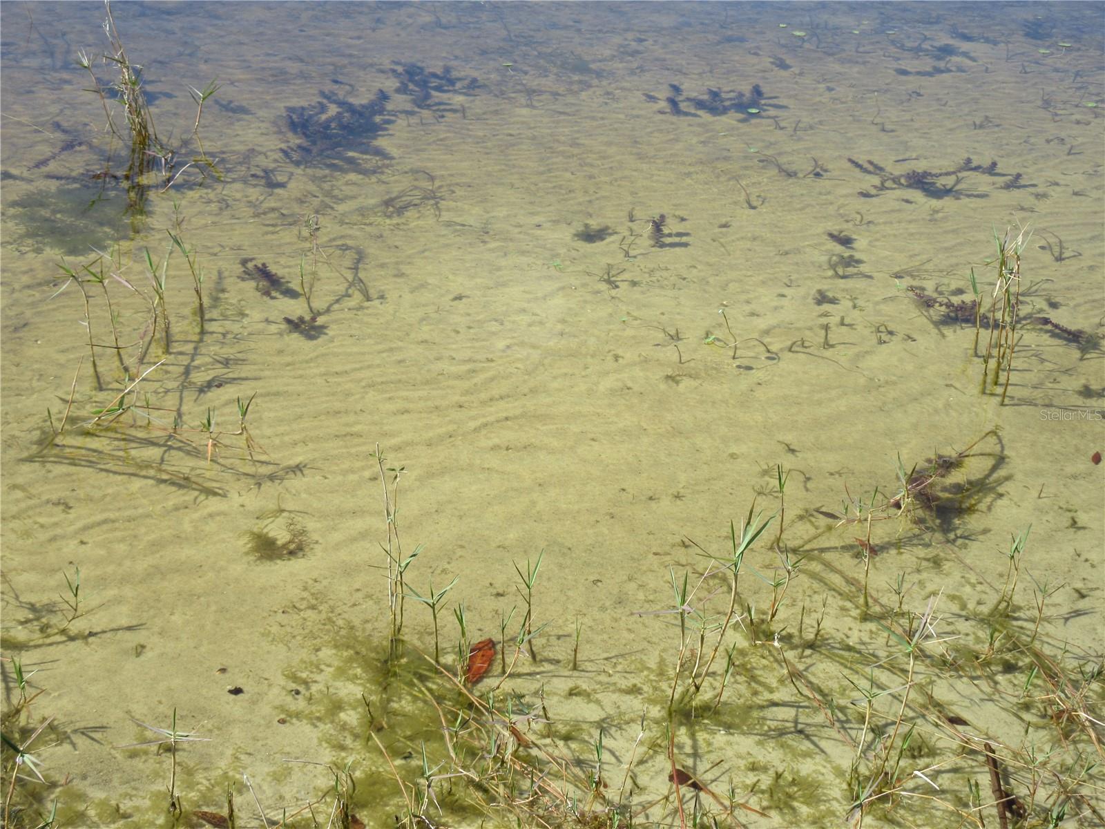 1605 SE 160TH CT, OCKLAWAHA, FL, 32179