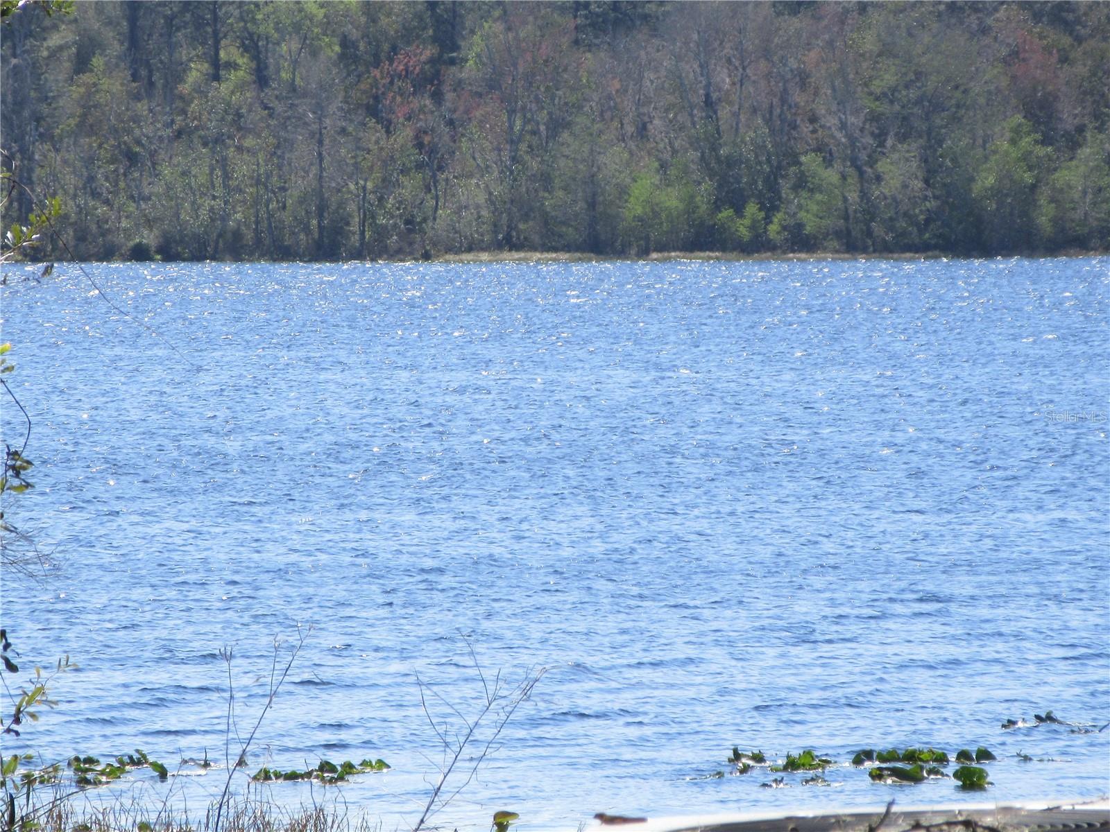 1605 SE 160TH CT, OCKLAWAHA, FL, 32179