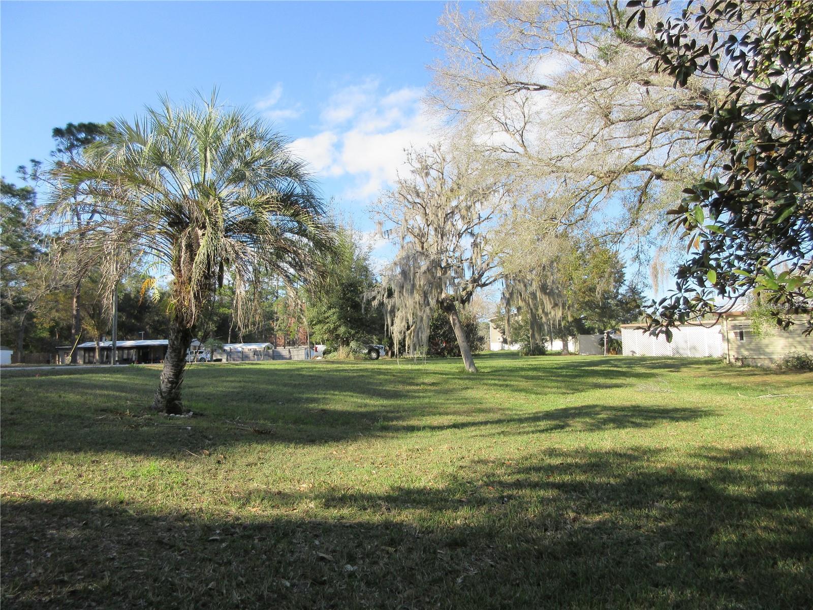 1605 SE 160TH CT, OCKLAWAHA, FL, 32179