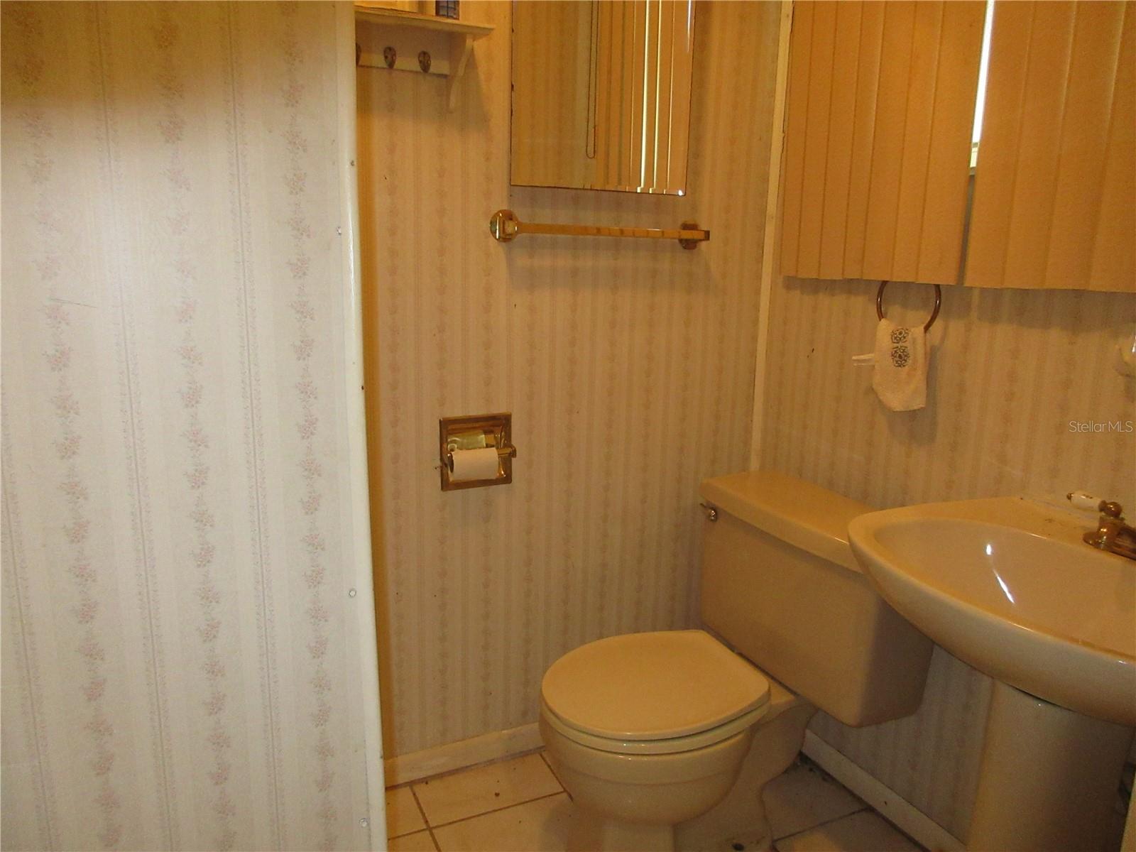 1605 SE 160TH CT, OCKLAWAHA, FL, 32179