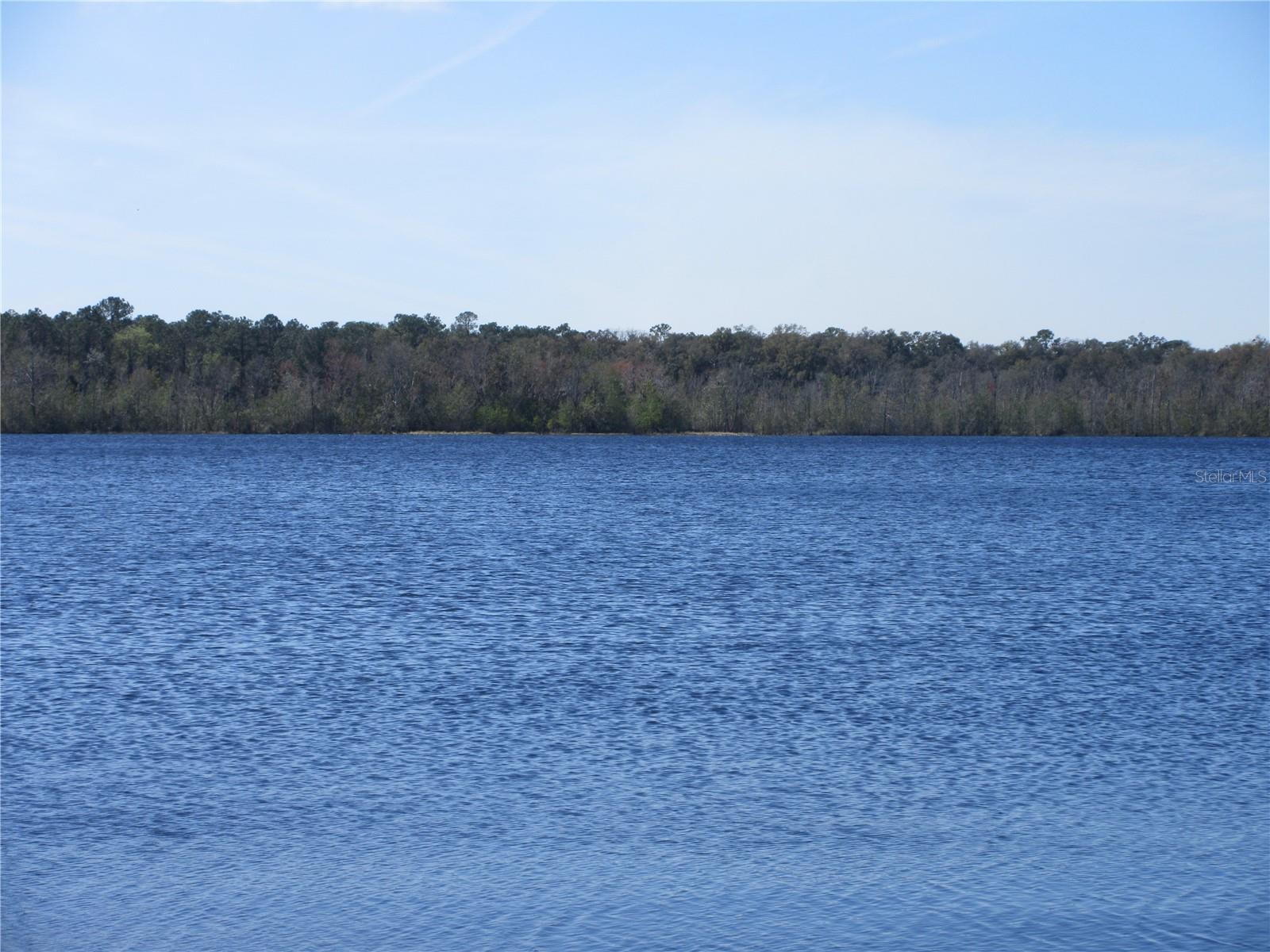 1605 SE 160TH CT, OCKLAWAHA, FL, 32179