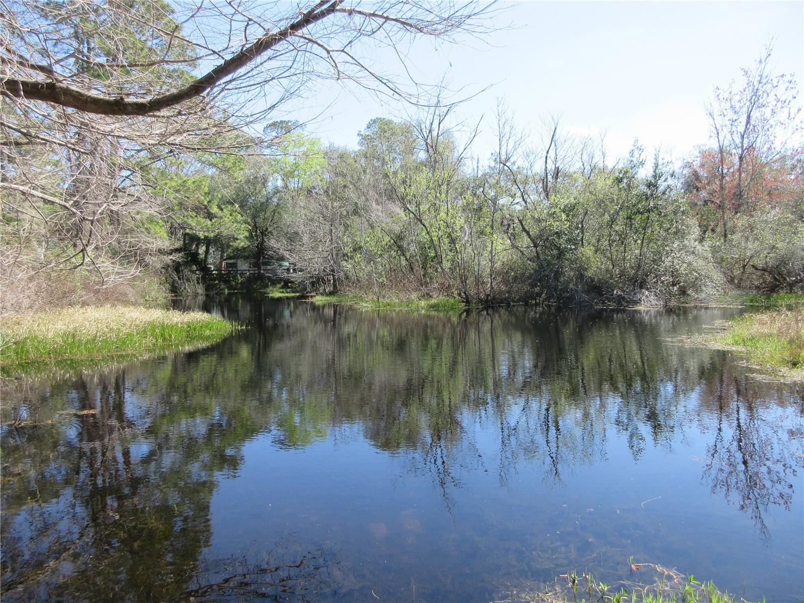 1605 SE 160TH CT, OCKLAWAHA, FL, 32179