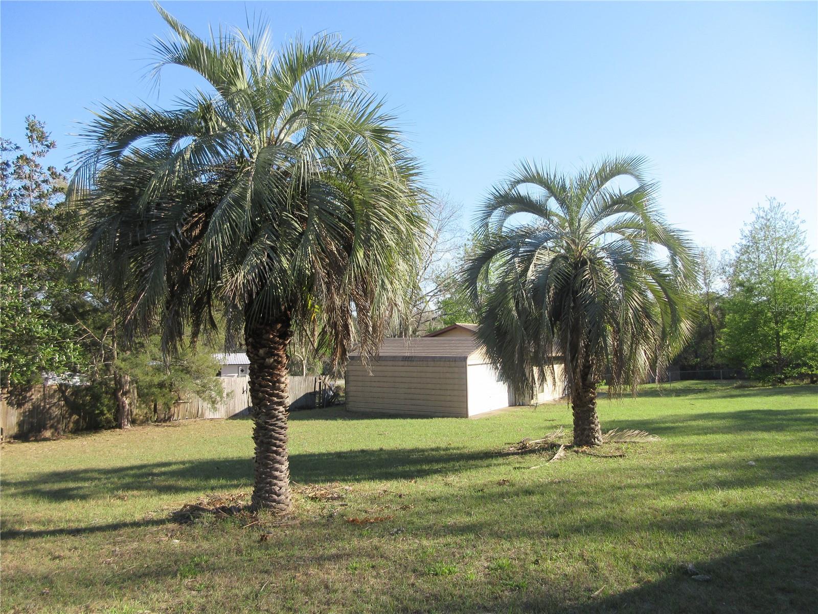 1605 SE 160TH CT, OCKLAWAHA, FL, 32179