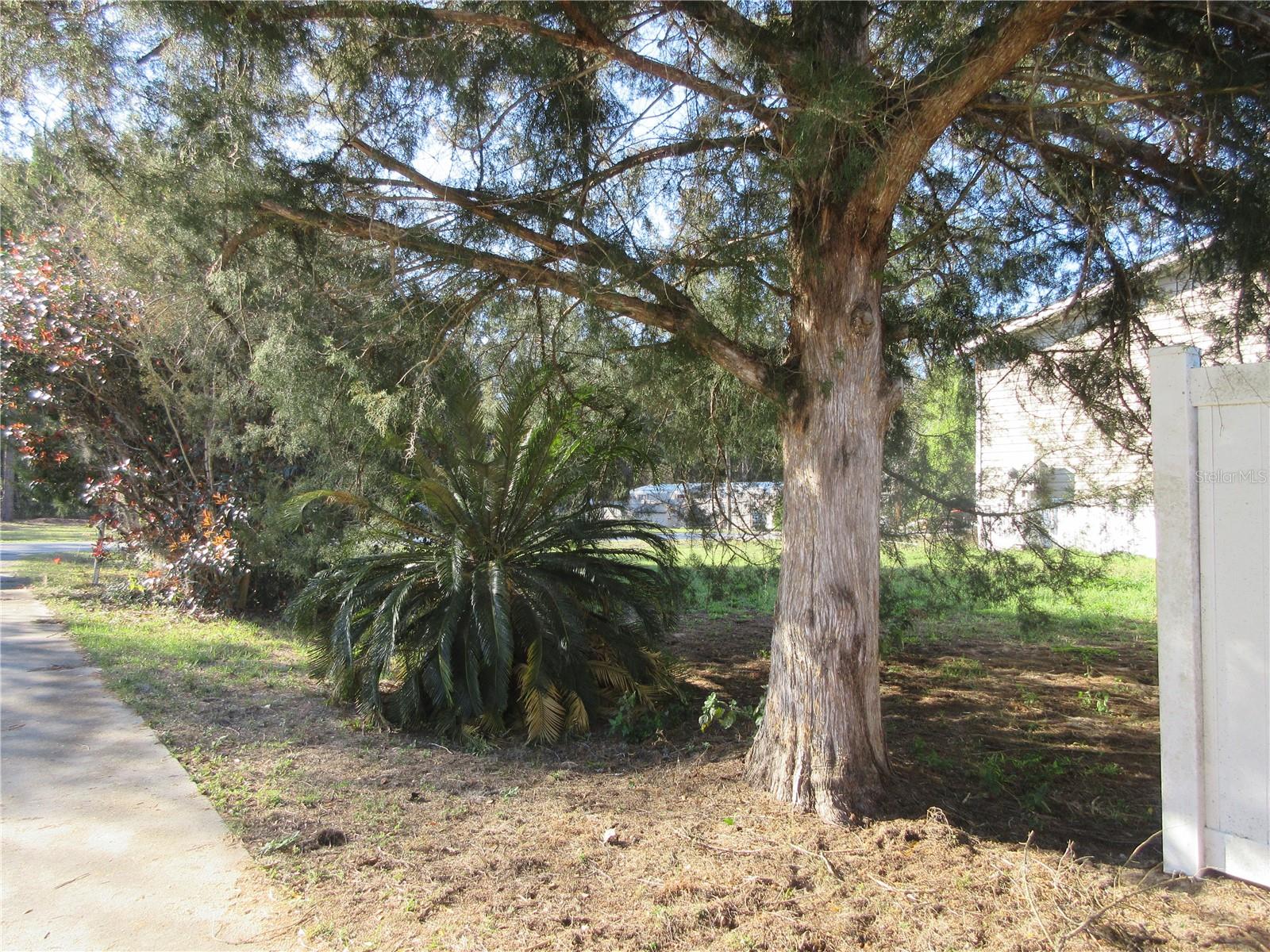 1605 SE 160TH CT, OCKLAWAHA, FL, 32179