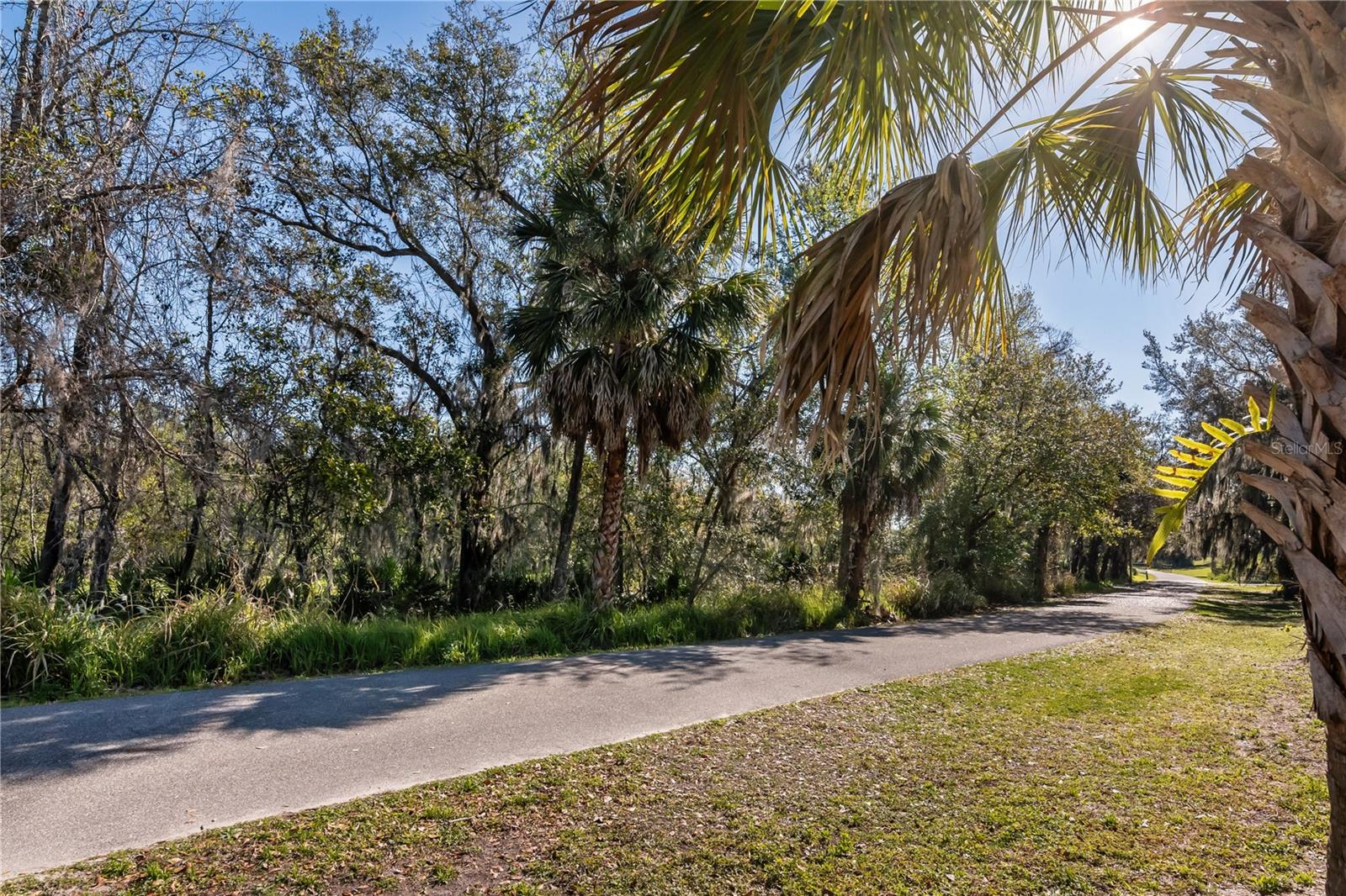 210 WOODED VINE DR, WINTER SPRINGS, FL, 32708
