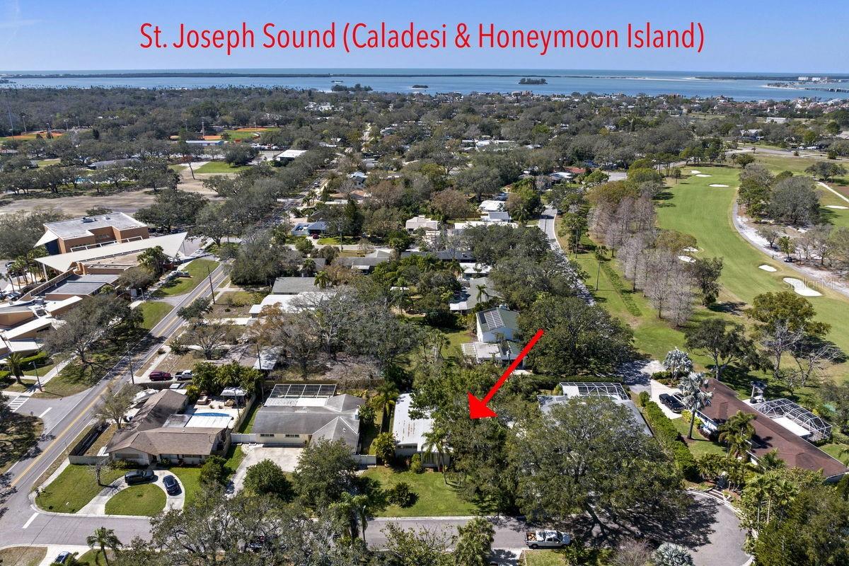 2034 NOLAN DR, DUNEDIN, FL, 34698