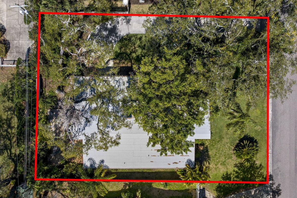 2034 NOLAN DR, DUNEDIN, FL, 34698
