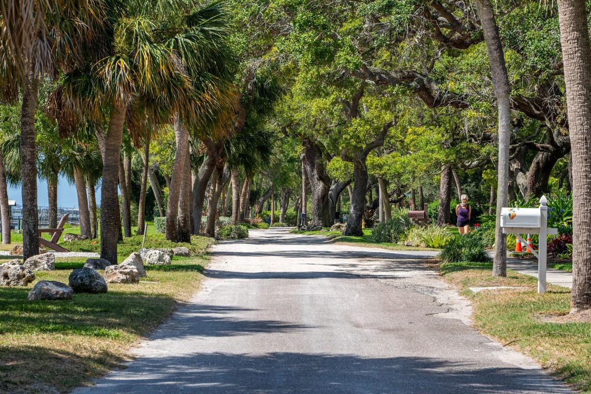 2034 NOLAN DR, DUNEDIN, FL, 34698