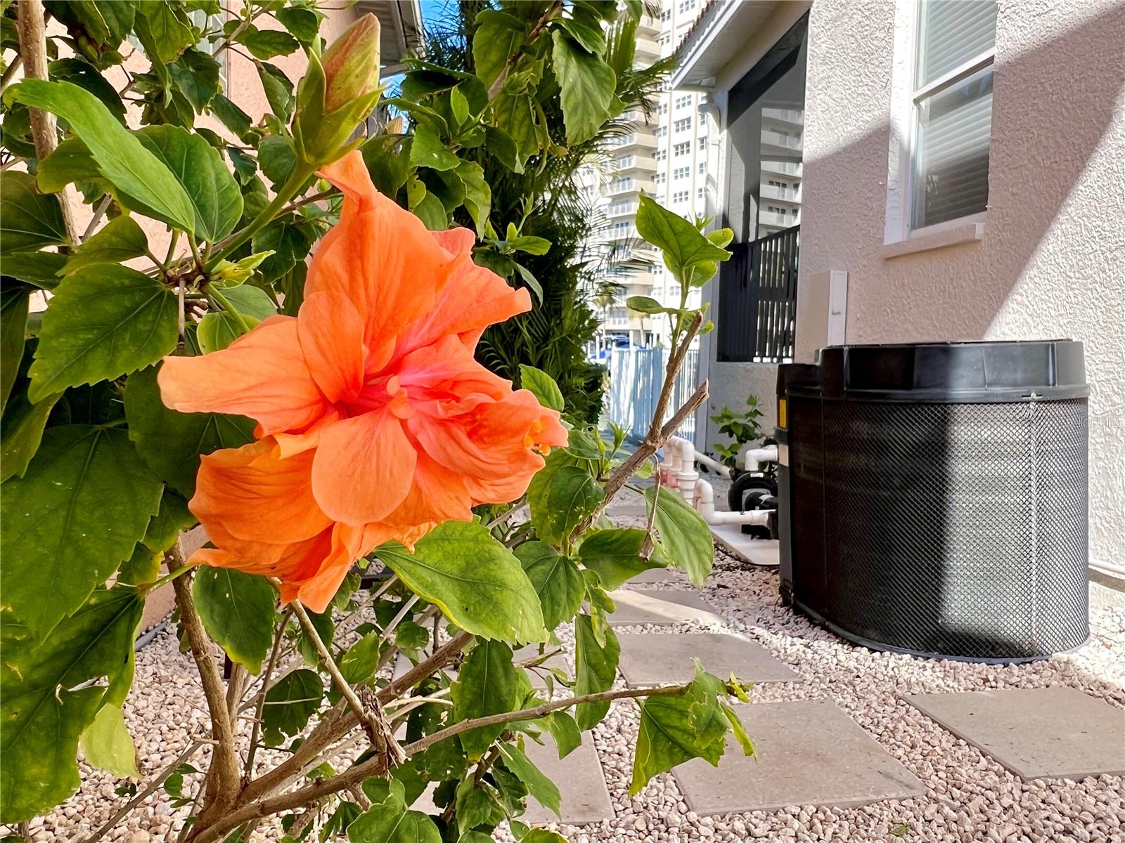 1616 SAND KEY ESTATES CT, CLEARWATER BEACH, FL, 33767