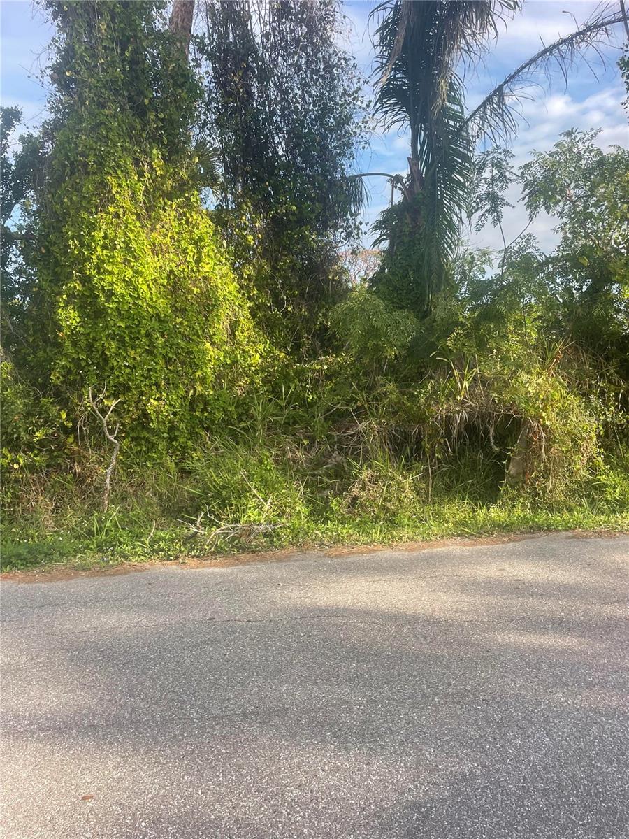 COLLEEN ST, SARASOTA, FL, 34231