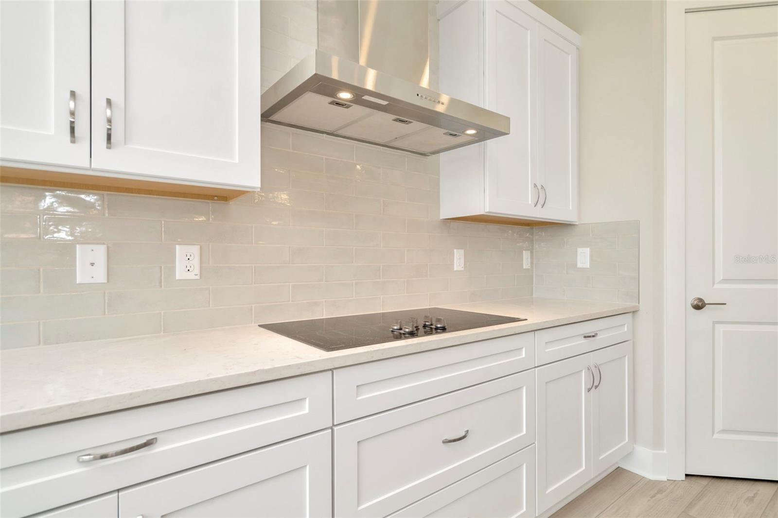 10714 TORCHWOOD SEA WAY, SAN ANTONIO, FL, 33576