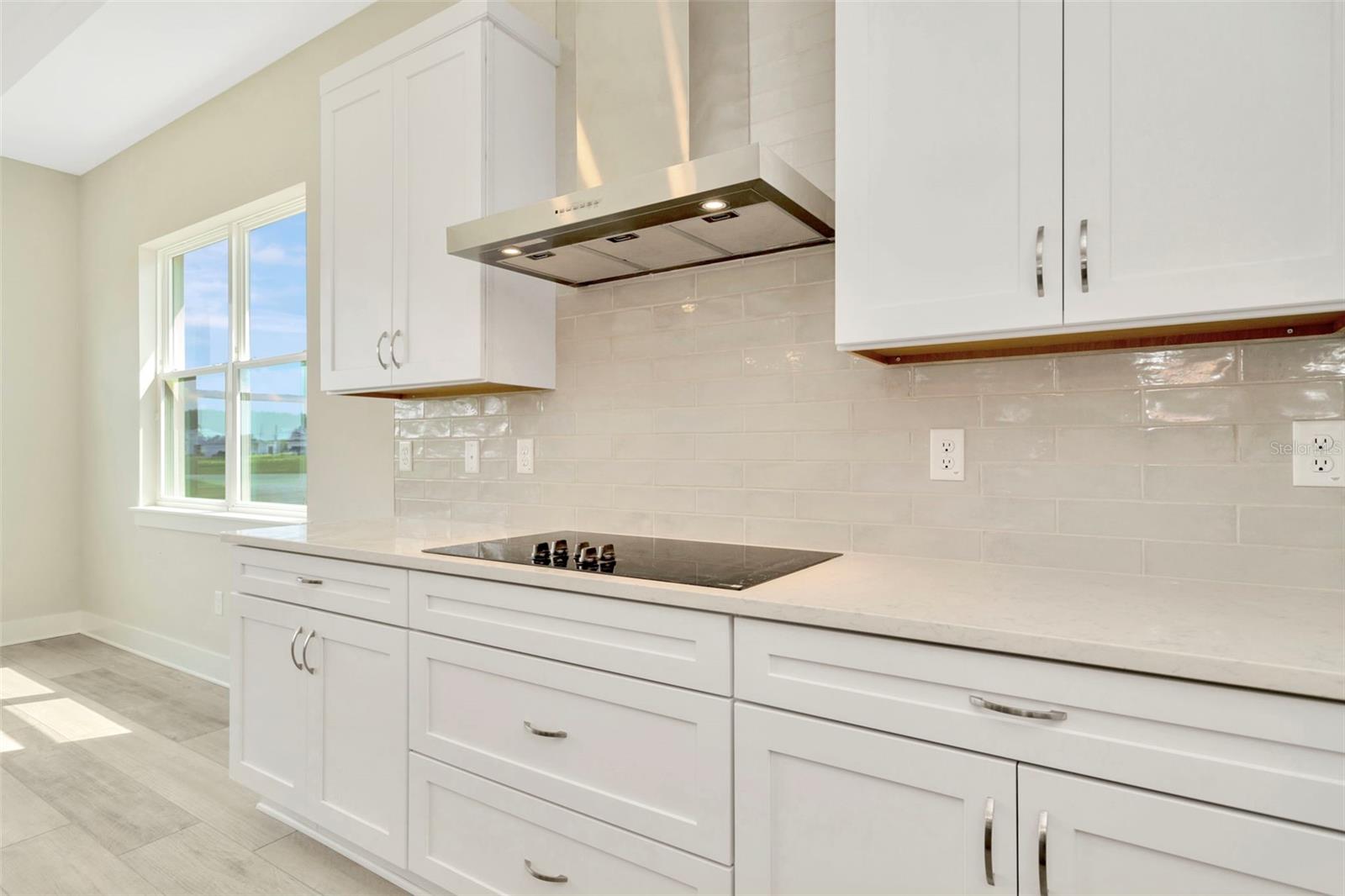 10714 TORCHWOOD SEA WAY, SAN ANTONIO, FL, 33576