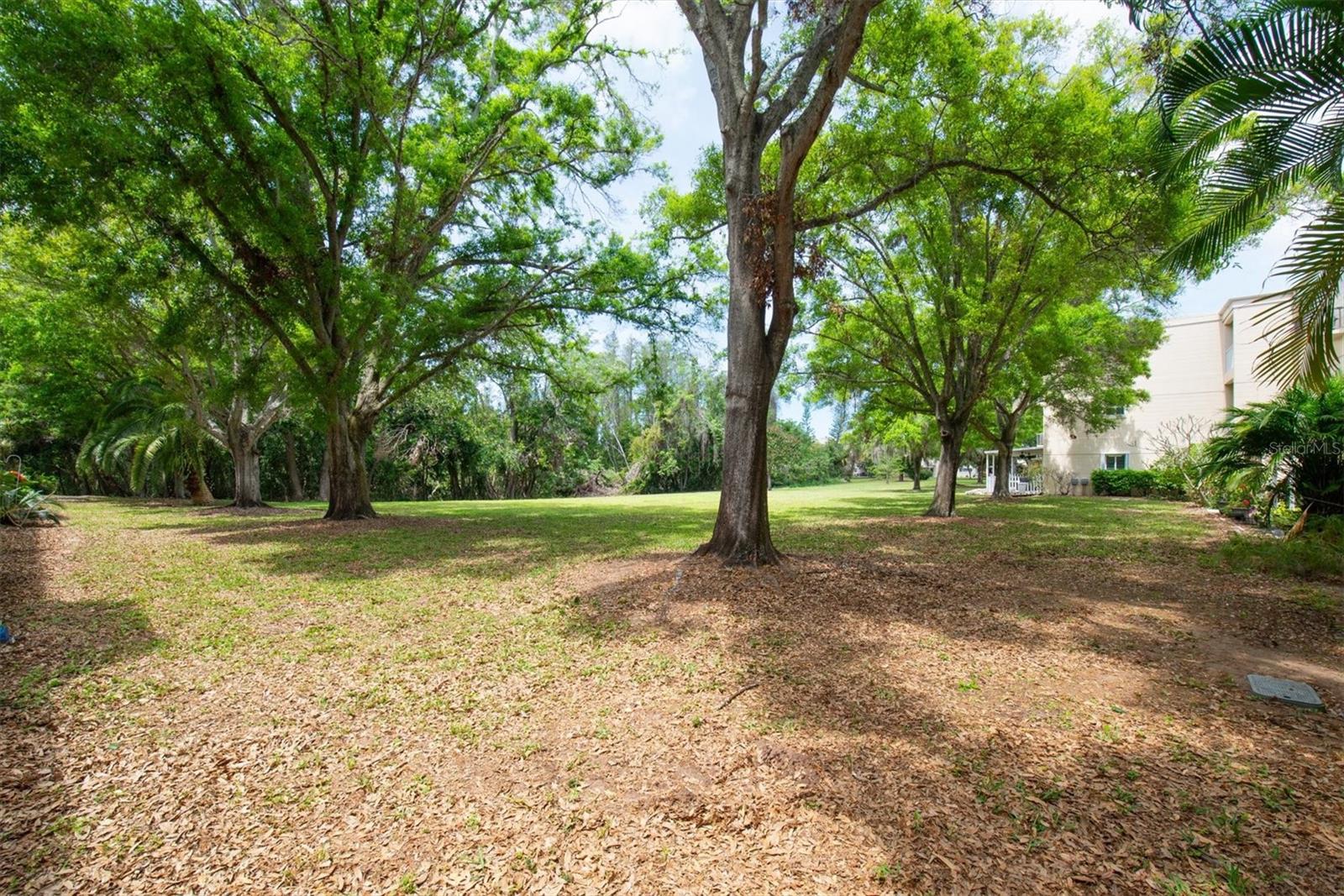 2170 AMERICUS BLVD S #6, CLEARWATER, FL, 33763