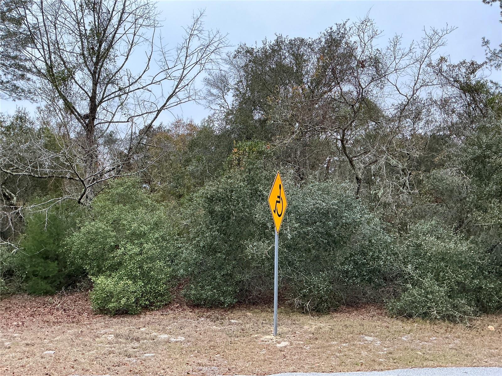 00 SW 137TH LOOP, OCALA, FL, 34473