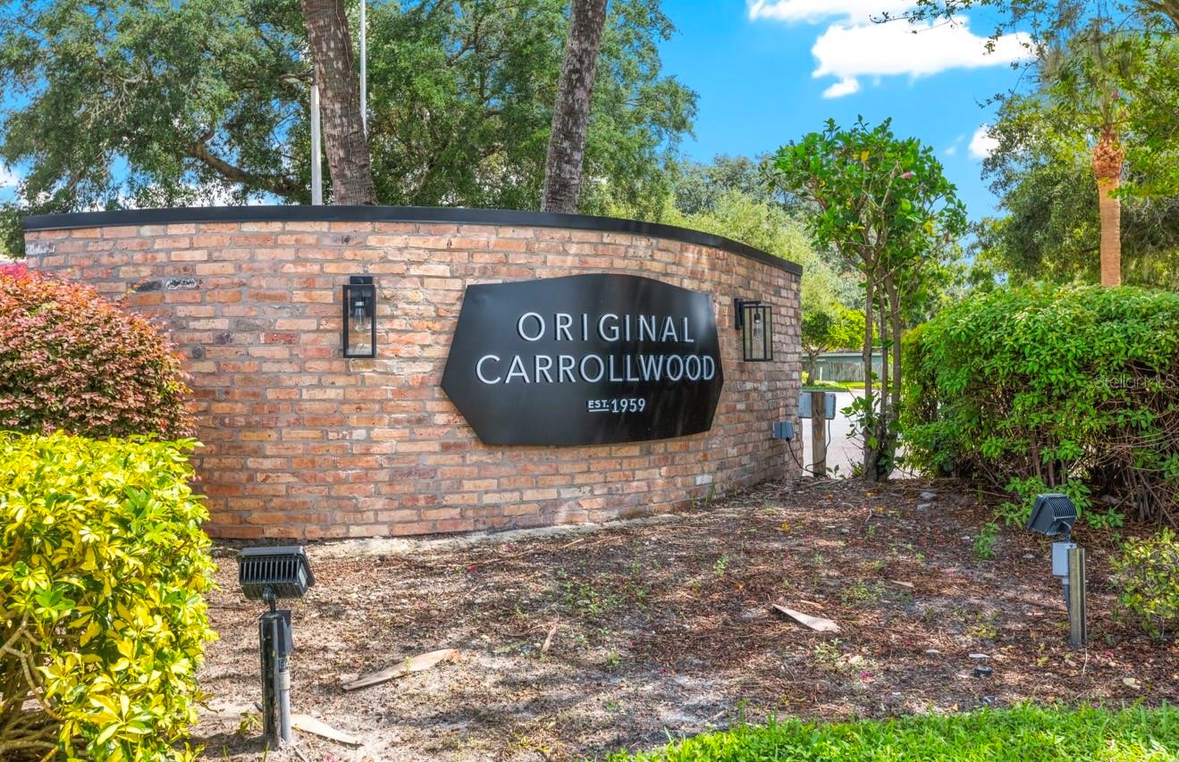 10607 CARROLLBROOK WAY #10607, TAMPA, FL, 33618