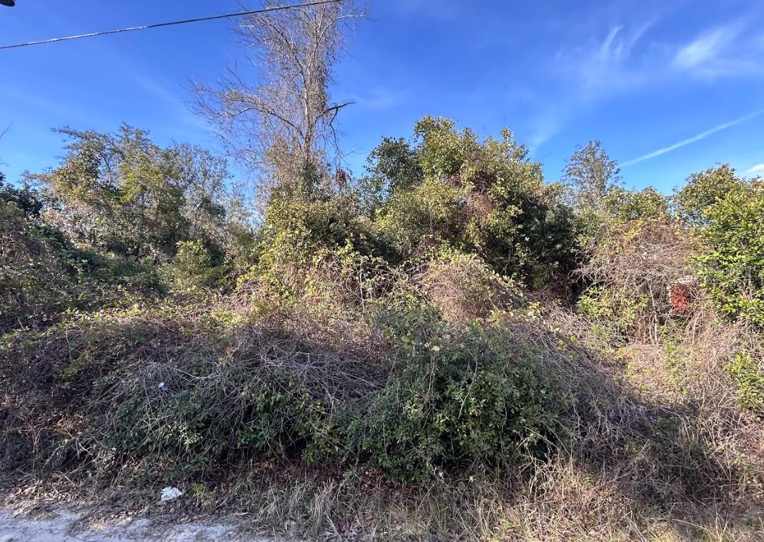 0 SE 141ST PL, UMATILLA, FL, 32784