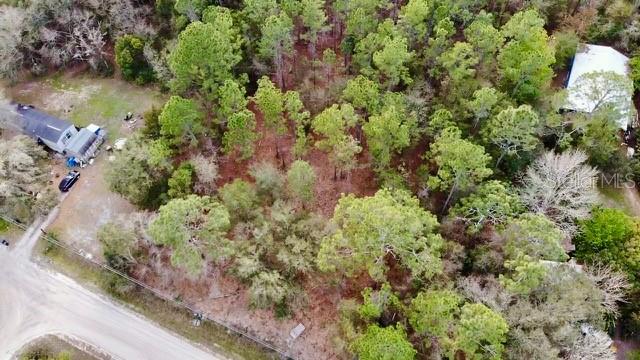 2916 PALM AVE, BUNNELL, FL, 32110