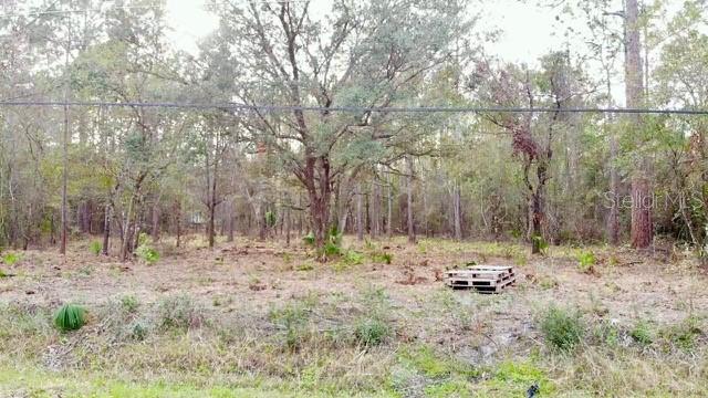 2916 PALM AVE, BUNNELL, FL, 32110