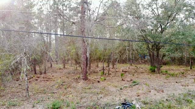 2916 PALM AVE, BUNNELL, FL, 32110
