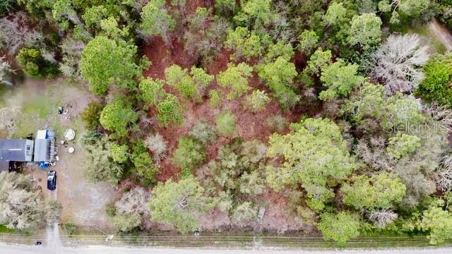 2916 PALM AVE, BUNNELL, FL, 32110
