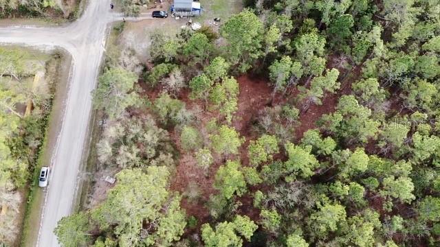 2916 PALM AVE, BUNNELL, FL, 32110