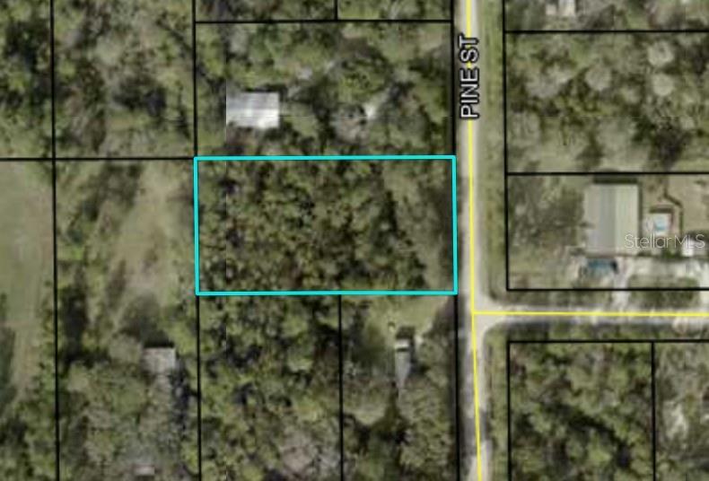 2916 PALM AVE, BUNNELL, FL, 32110