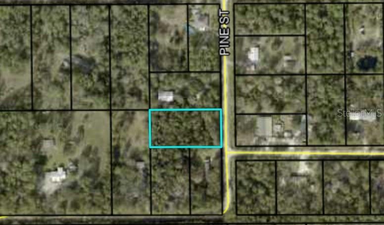 2916 PALM AVE, BUNNELL, FL, 32110