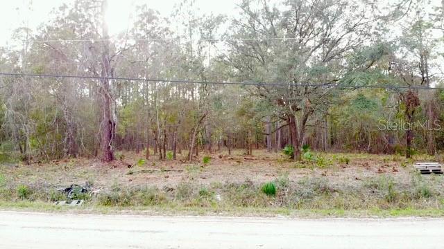 2916 PALM AVE, BUNNELL, FL, 32110