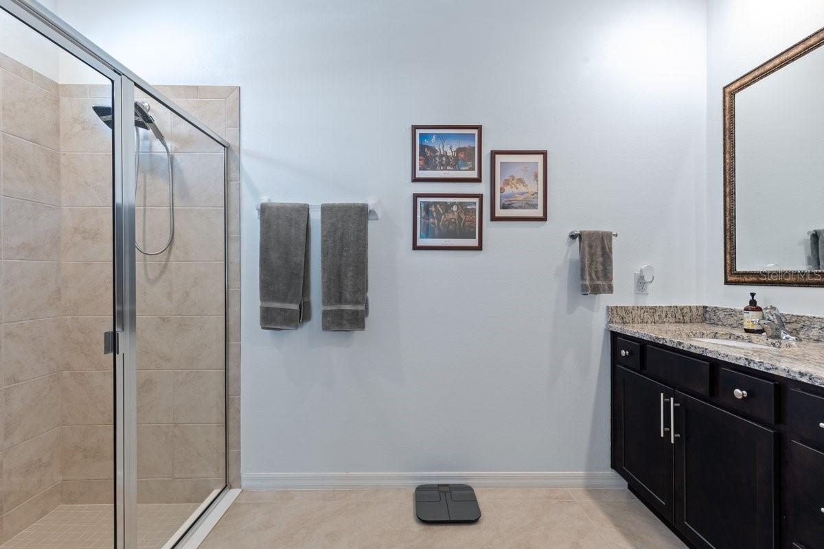 13323 WATERLEAF GARDEN CIR, RIVERVIEW, FL, 33579