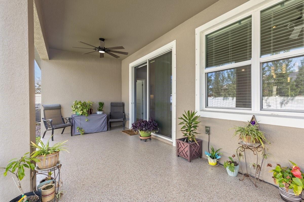 13323 WATERLEAF GARDEN CIR, RIVERVIEW, FL, 33579