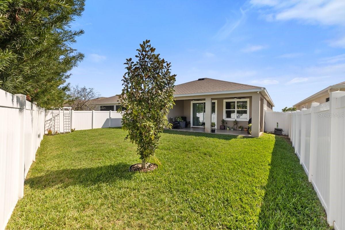 13323 WATERLEAF GARDEN CIR, RIVERVIEW, FL, 33579