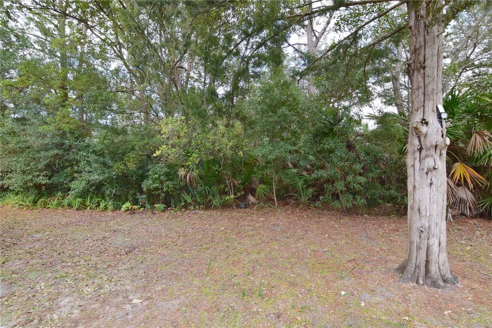 O6283474 Property Photo