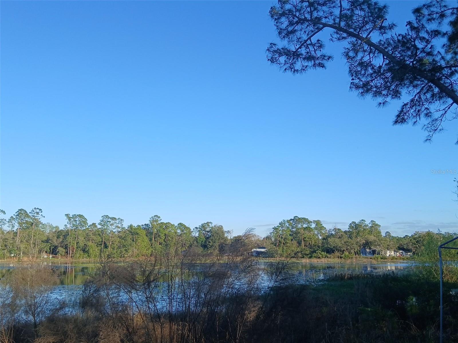 43648 S ISLAND DR, PAISLEY, FL, 32767