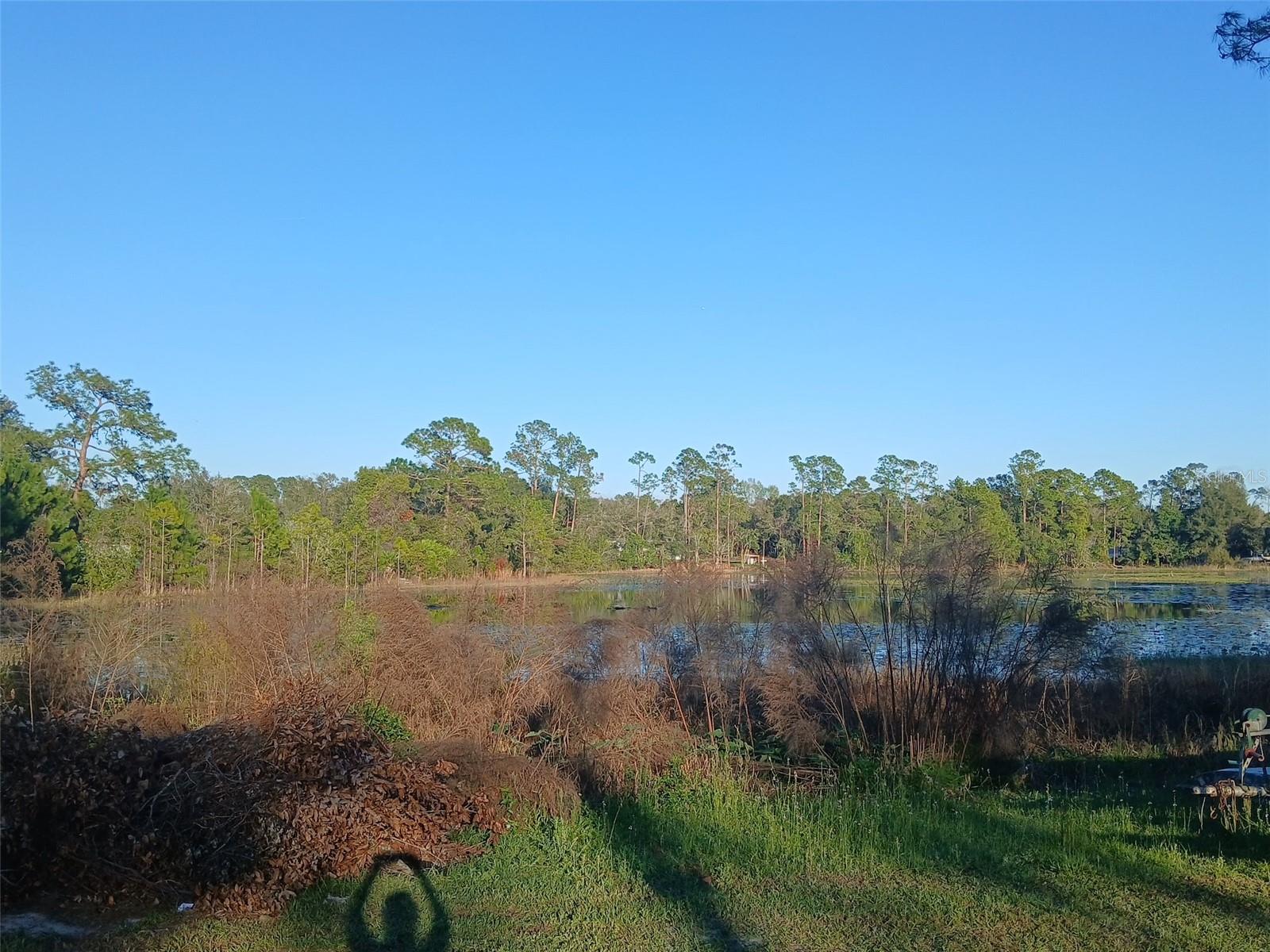 43648 S ISLAND DR, PAISLEY, FL, 32767