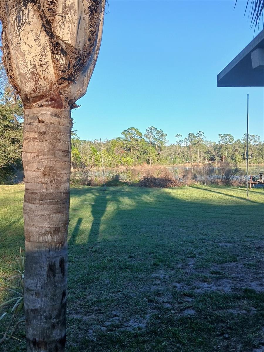 43648 S ISLAND DR, PAISLEY, FL, 32767