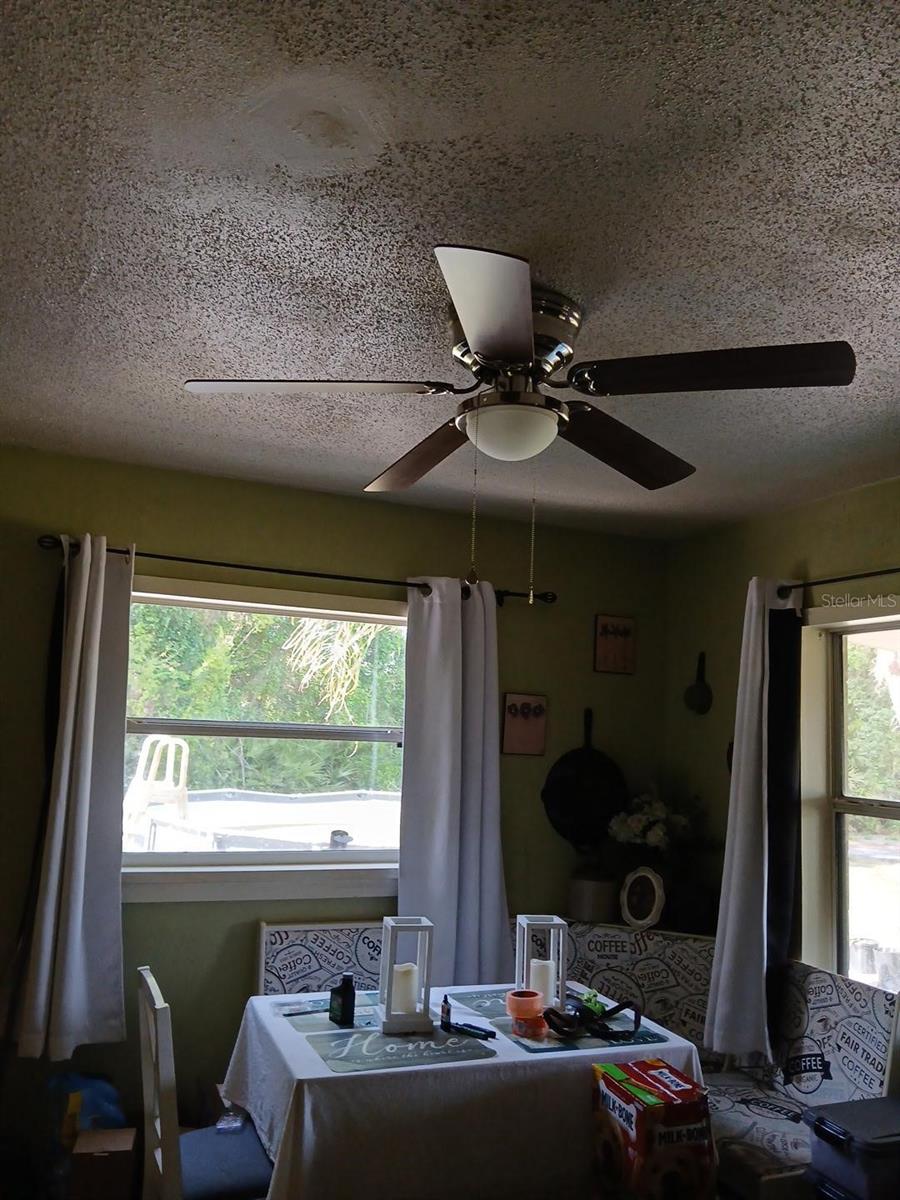 43648 S ISLAND DR, PAISLEY, FL, 32767