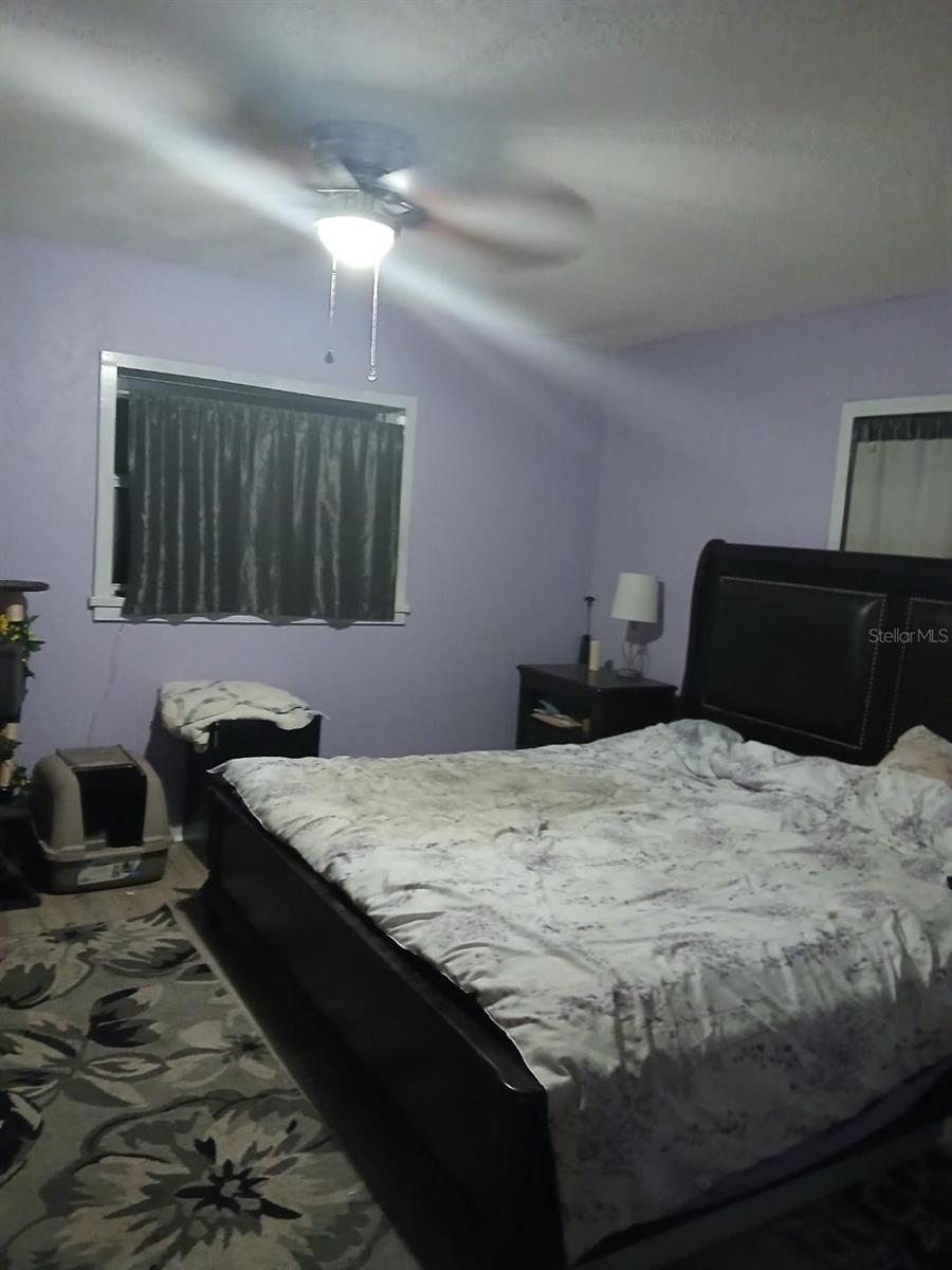 43648 S ISLAND DR, PAISLEY, FL, 32767