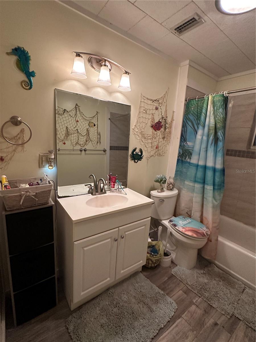 43648 S ISLAND DR, PAISLEY, FL, 32767