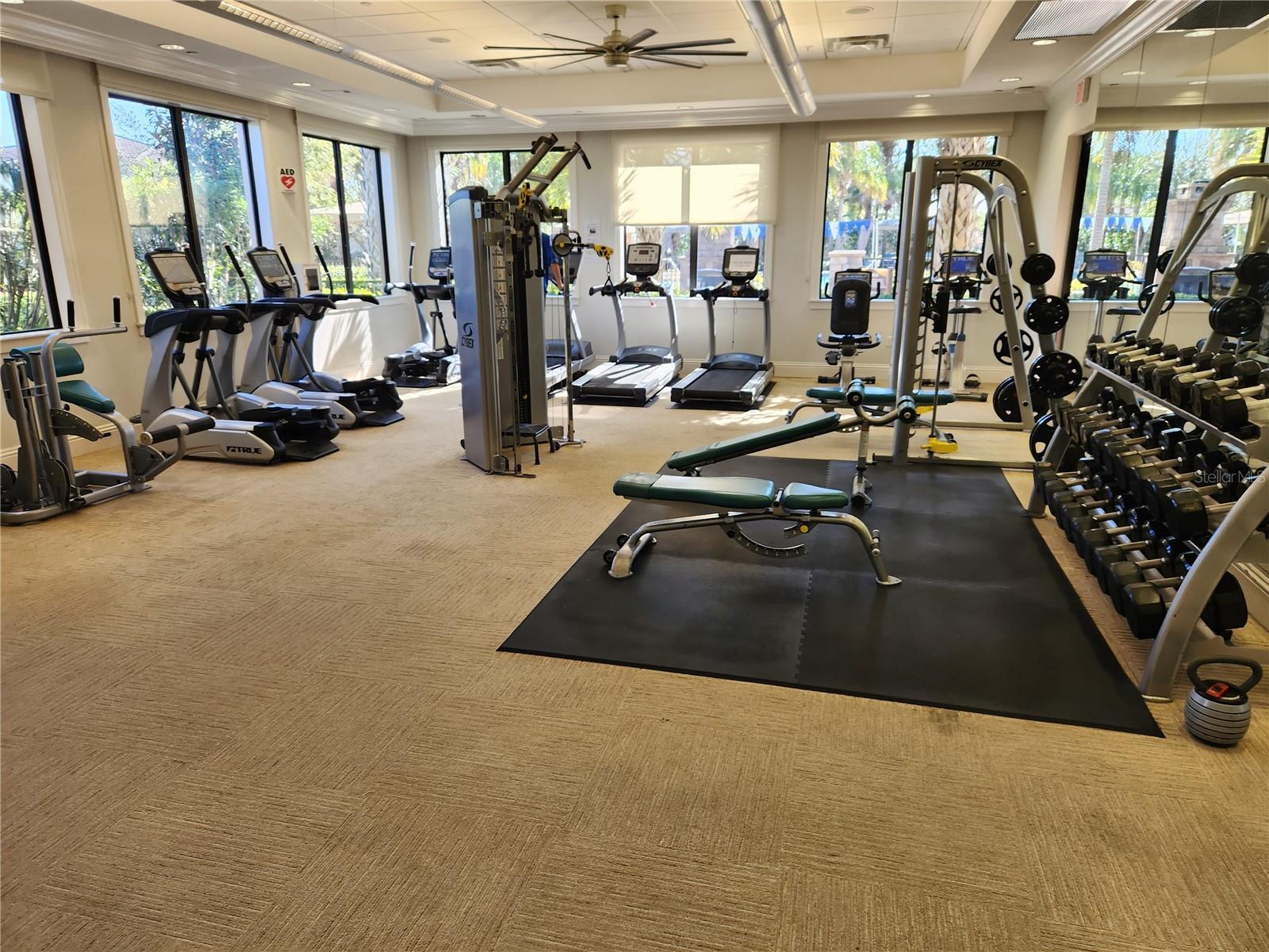 30380 PALMER OAK DR, WESLEY CHAPEL, FL, 33543