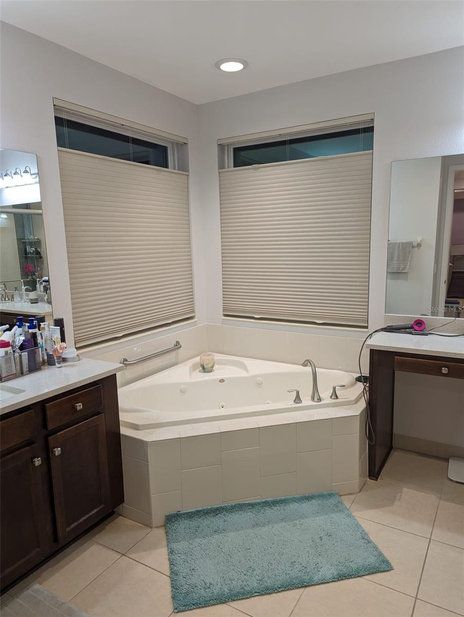 30380 PALMER OAK DR, WESLEY CHAPEL, FL, 33543
