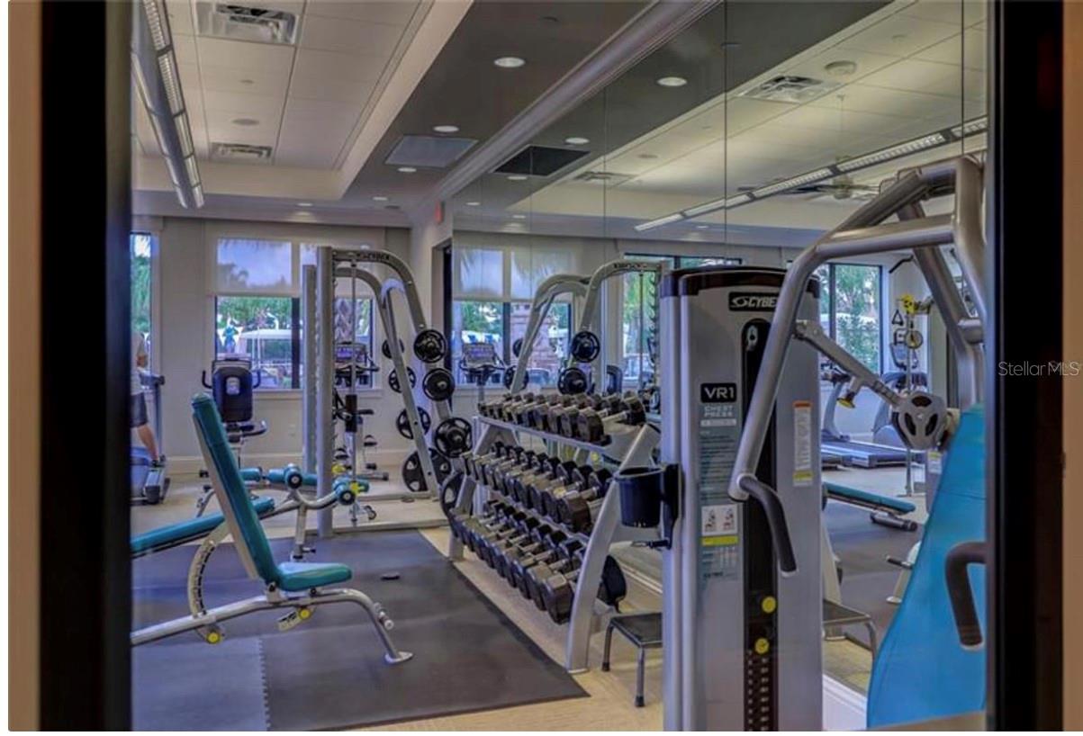30380 PALMER OAK DR, WESLEY CHAPEL, FL, 33543
