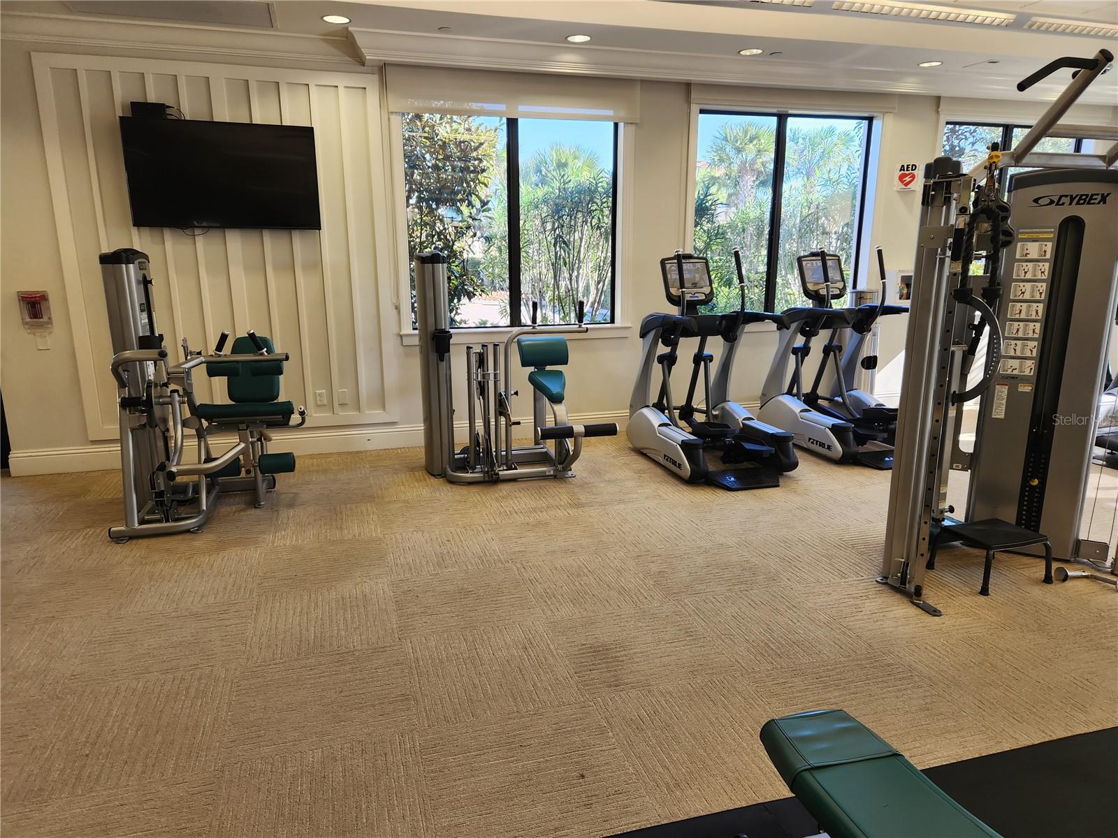 30380 PALMER OAK DR, WESLEY CHAPEL, FL, 33543