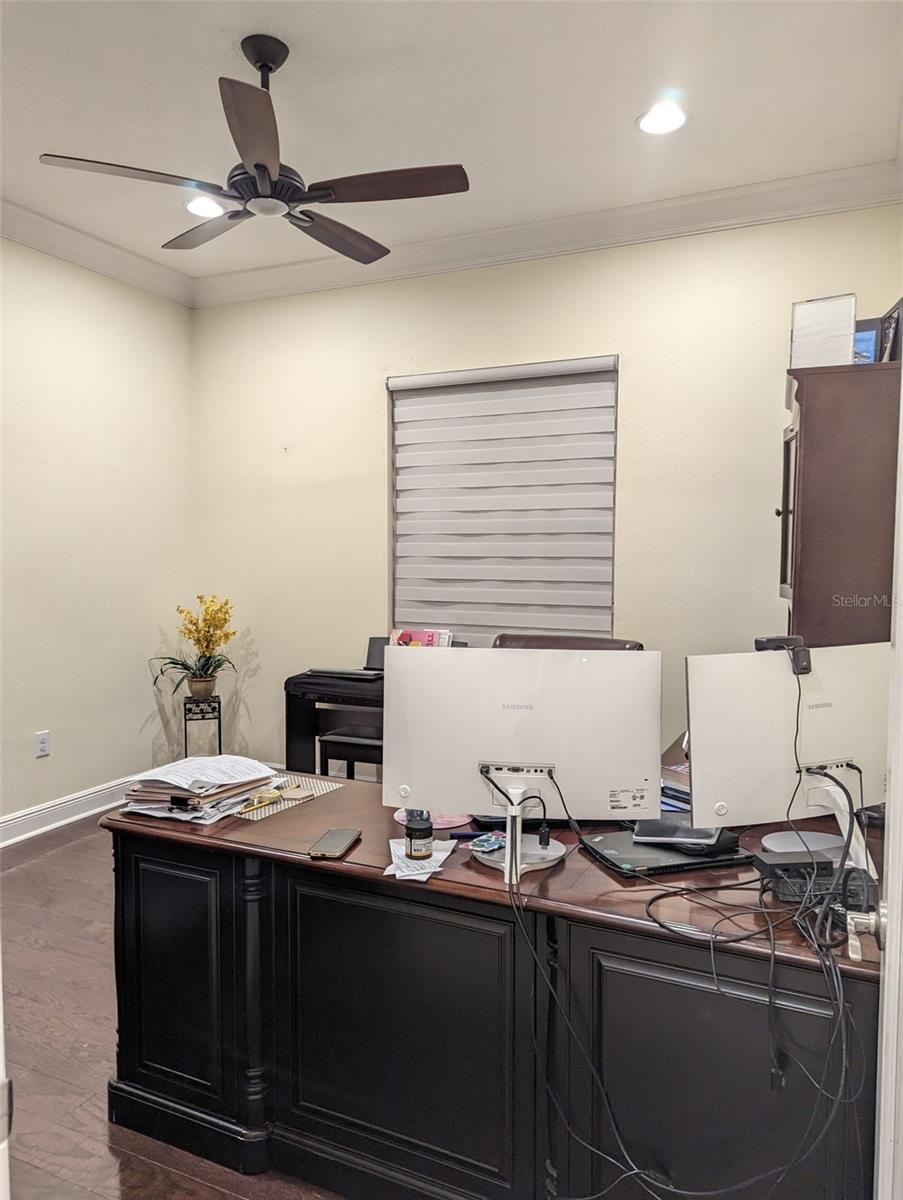 30380 PALMER OAK DR, WESLEY CHAPEL, FL, 33543