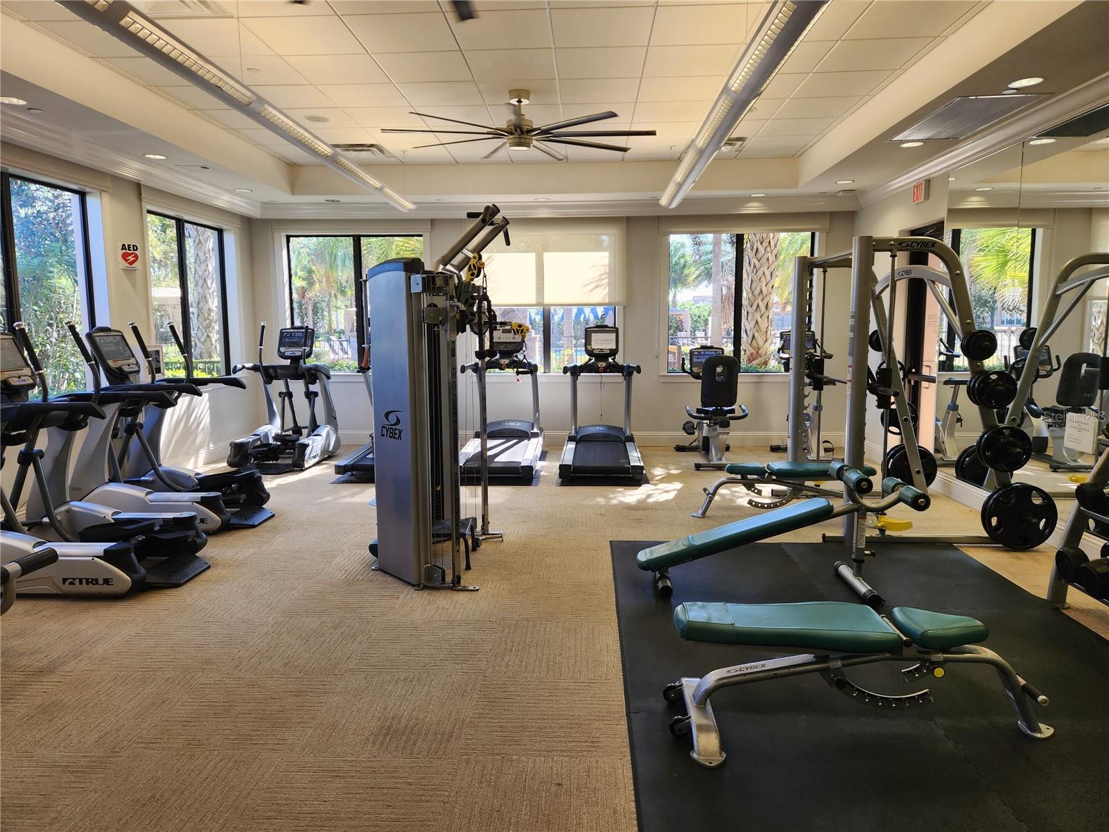 30380 PALMER OAK DR, WESLEY CHAPEL, FL, 33543