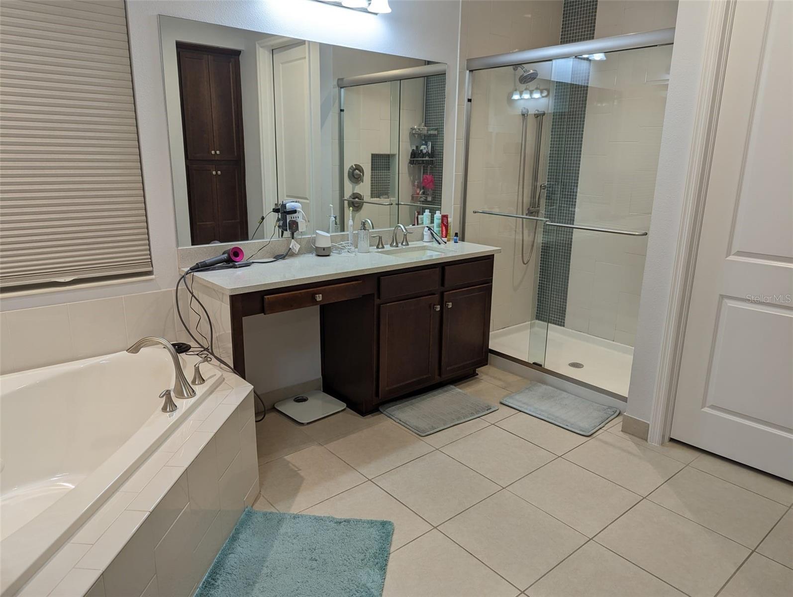 30380 PALMER OAK DR, WESLEY CHAPEL, FL, 33543
